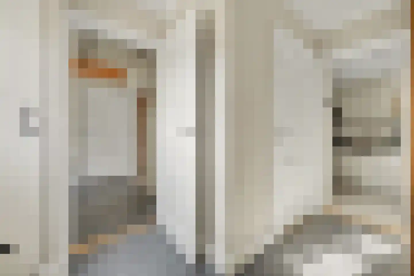 2e Vlietweg 4 Oostdijk thumbnail 7