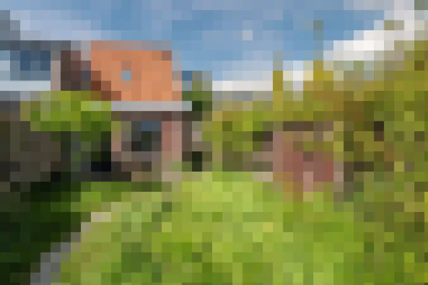 2e Vroonstraat 11 Den Helder thumbnail 12