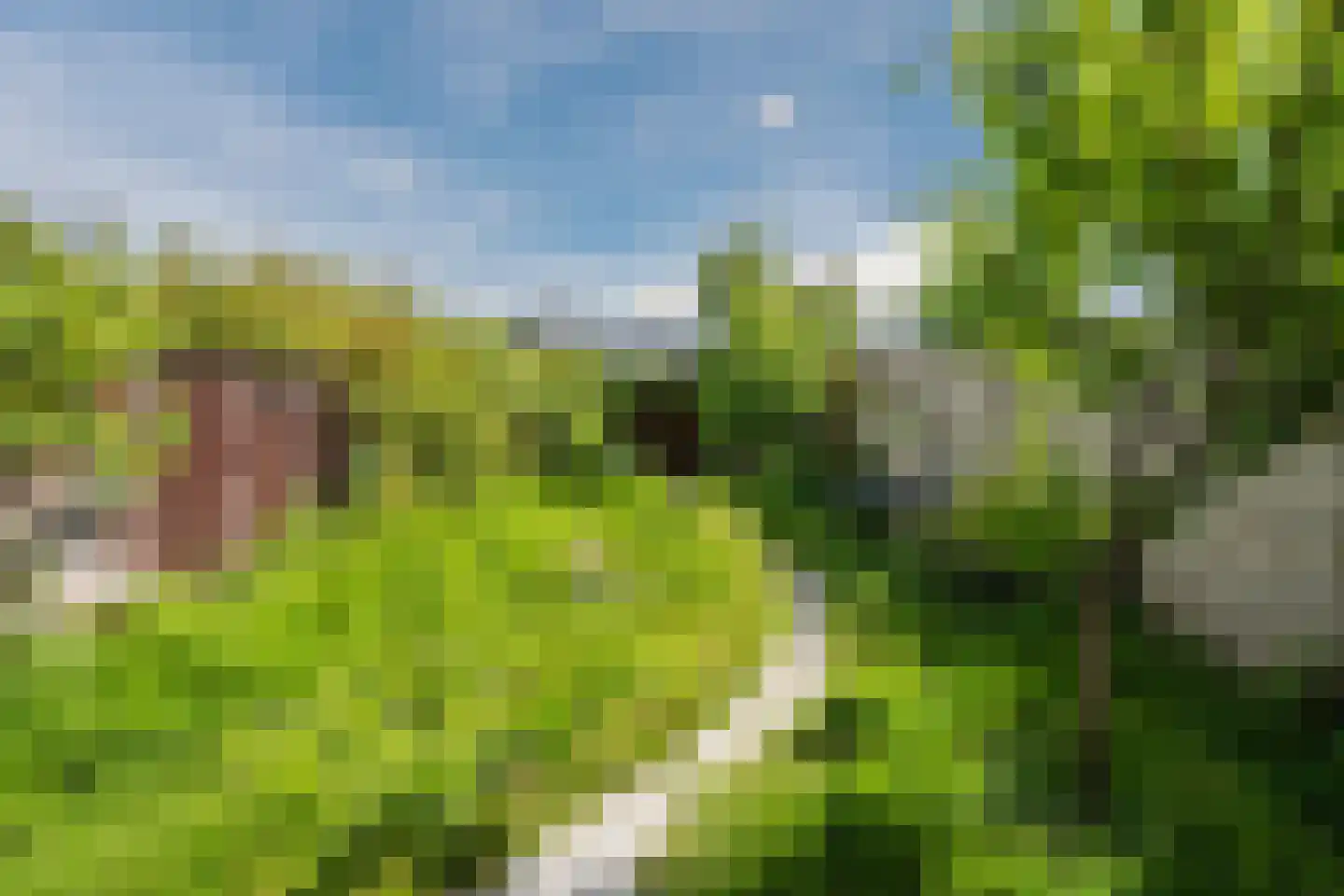 2e Vroonstraat 11 Den Helder thumbnail 7