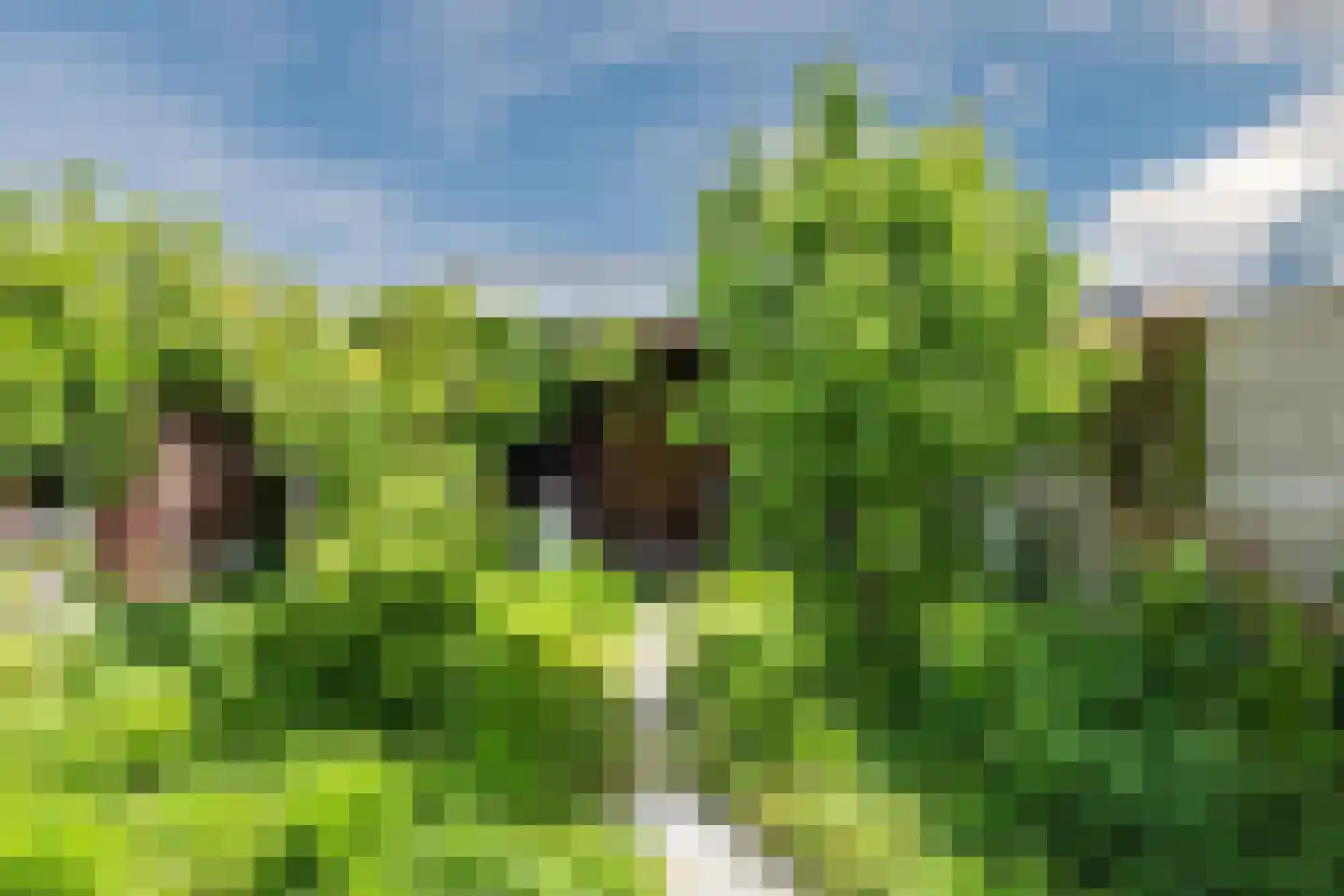 2e Vroonstraat 11 Den Helder thumbnail 8