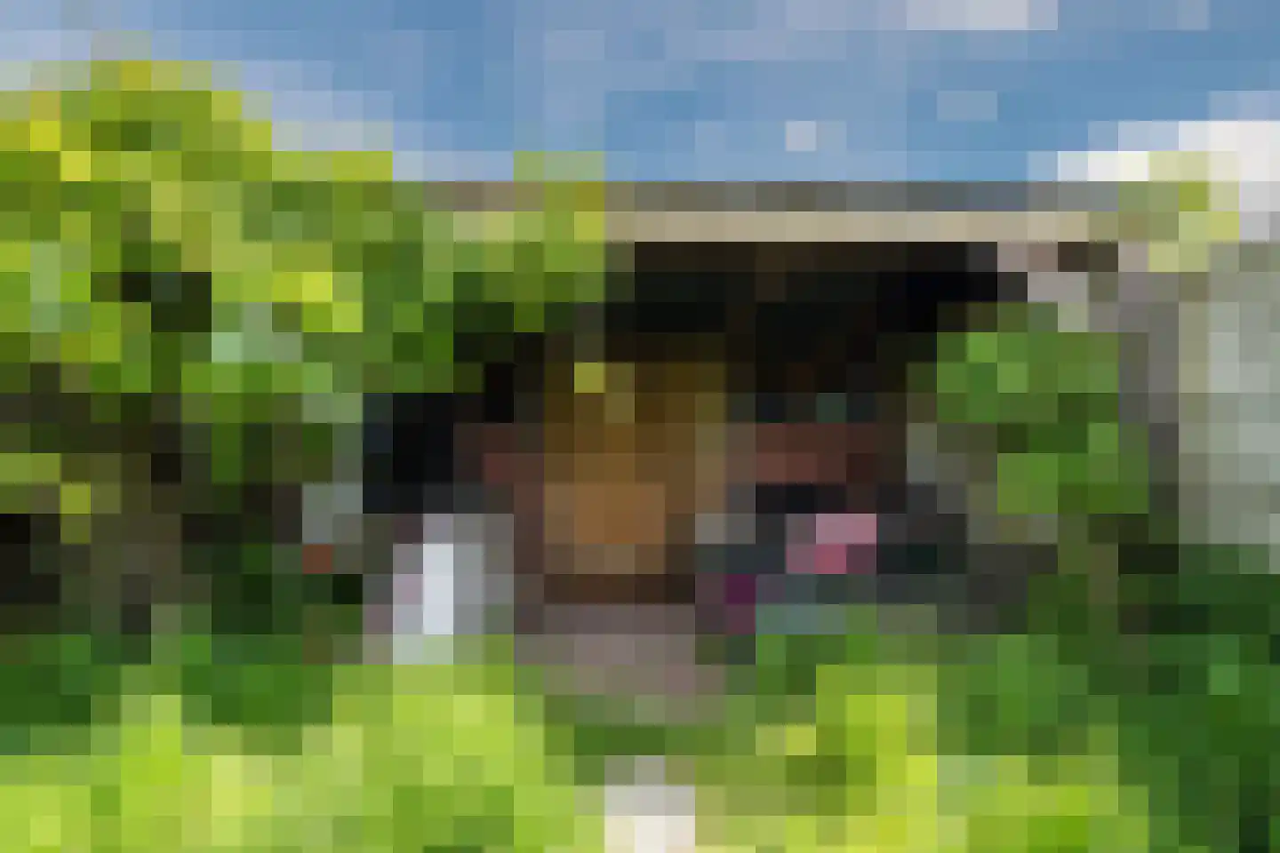 2e Vroonstraat 11 Den Helder thumbnail 9