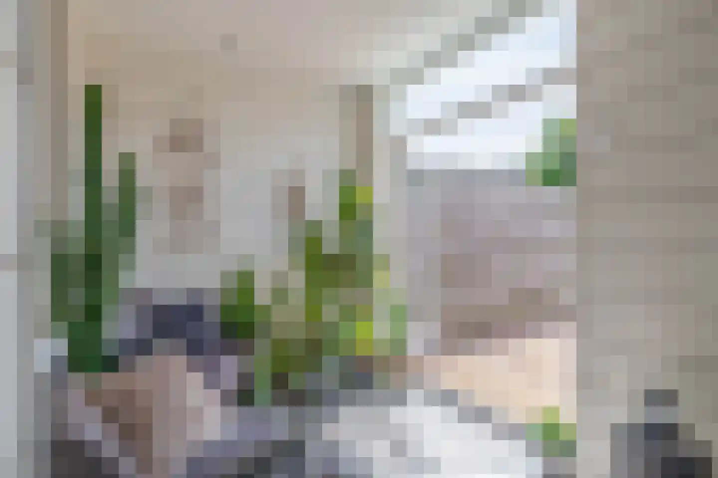 2e Vroonstraat 22 Den Helder thumbnail 21