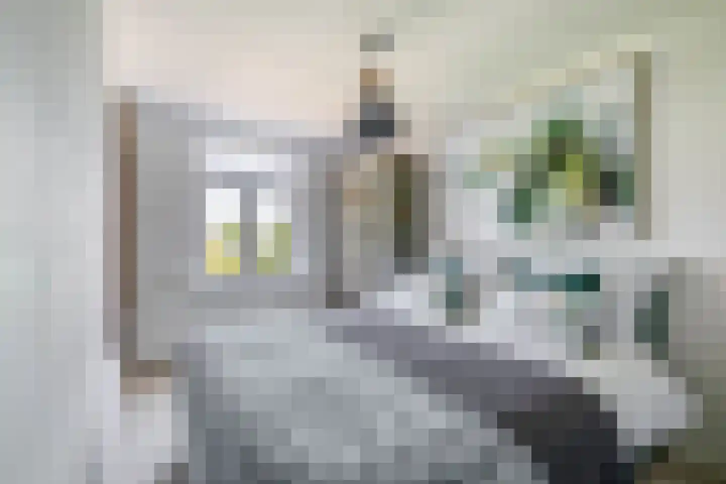 2e Vroonstraat 22 Den Helder thumbnail 24