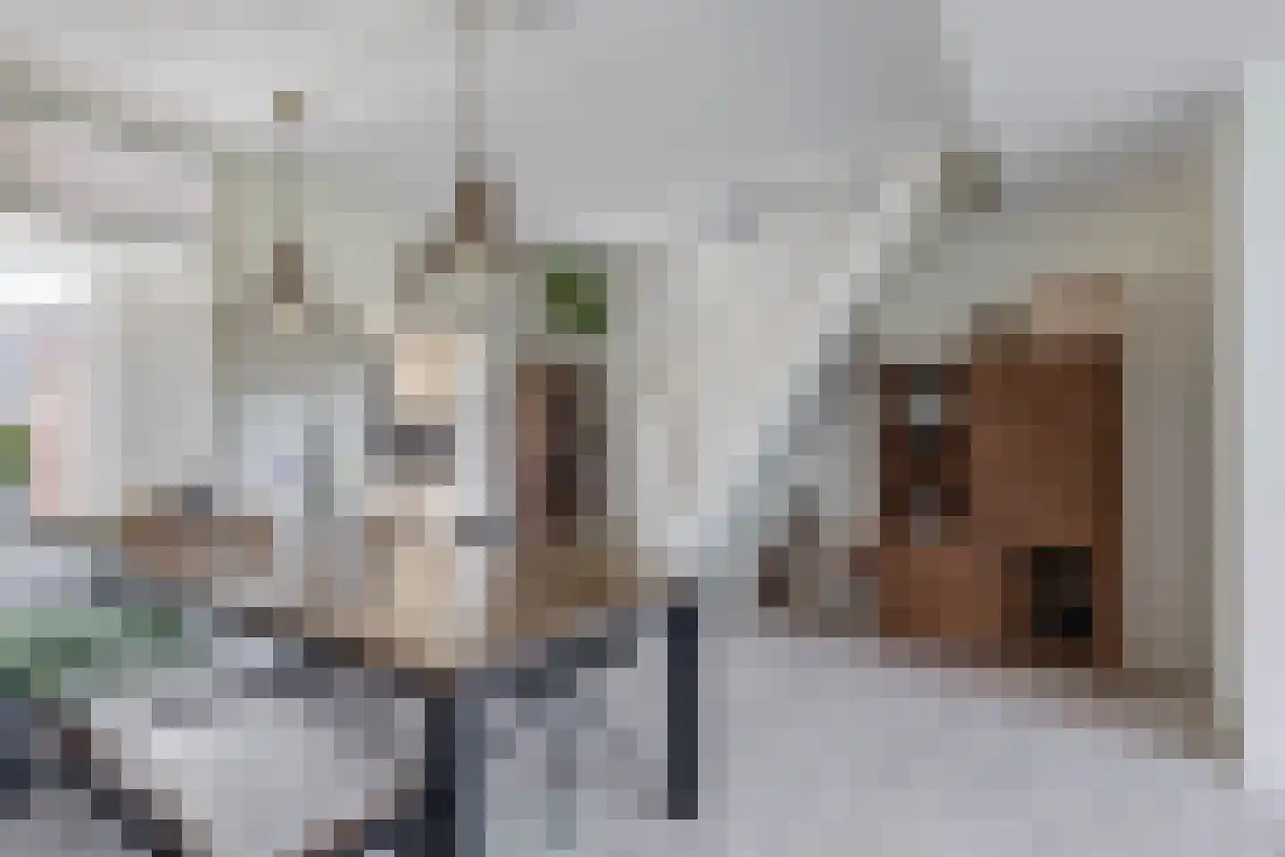 2e Vroonstraat 22 Den Helder thumbnail 8