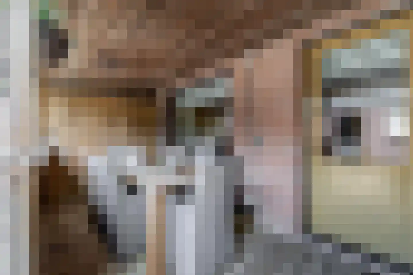 2e Vroonstraat 32 Den Helder thumbnail 9
