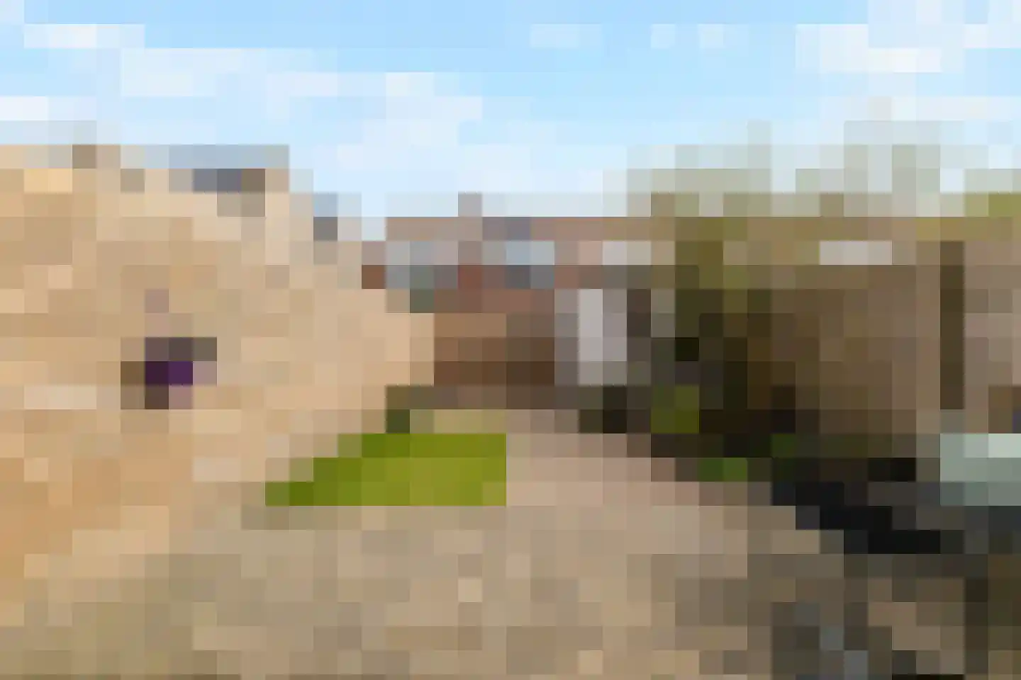 2e Vroonstraat 55 Den Helder thumbnail 4