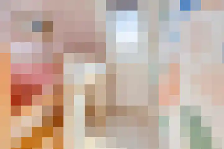 2e Weerdsweg 1 Deventer thumbnail 16