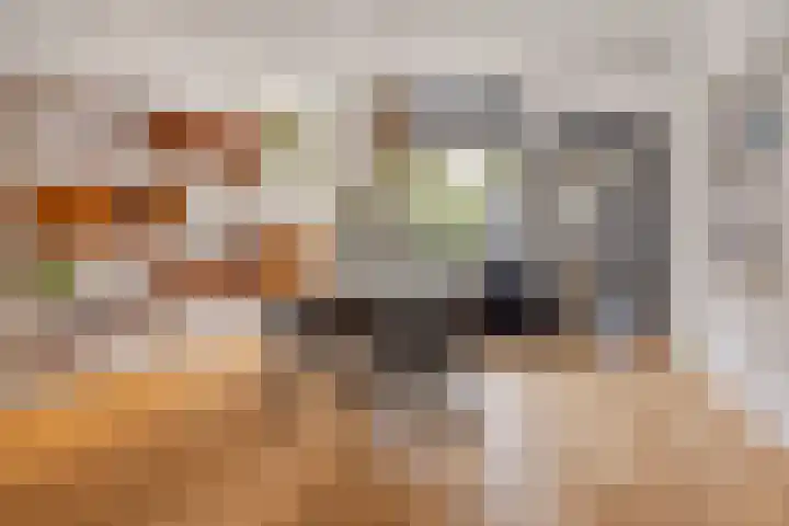 2e Weerdsweg 1 Deventer thumbnail 8