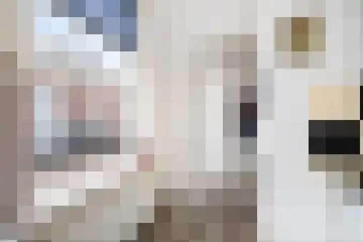 2e Weerdsweg 2 Deventer thumbnail 7