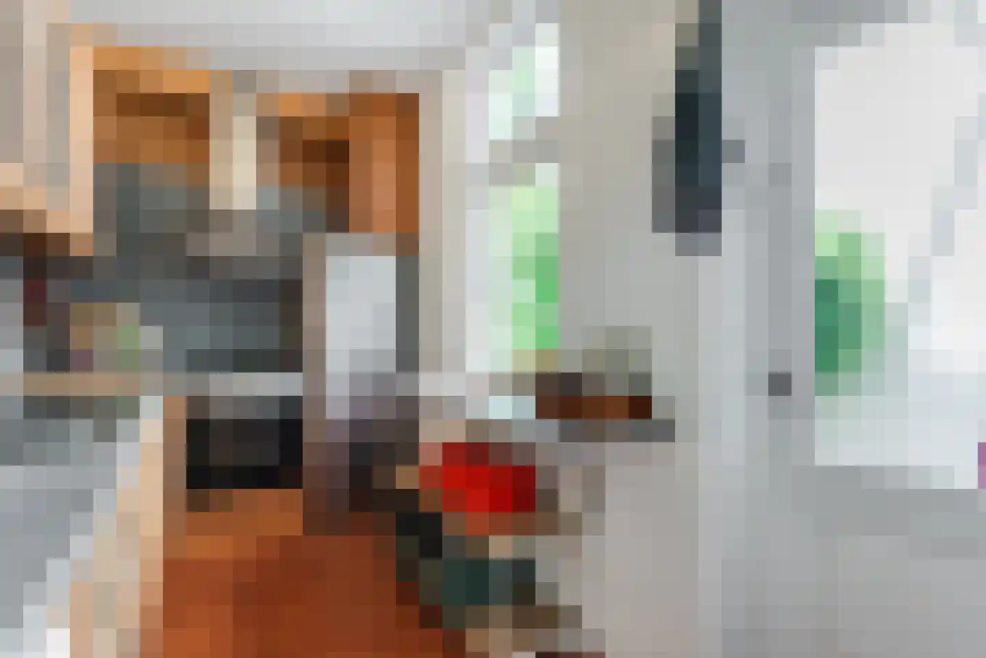 2e Weerdsweg 21 Deventer thumbnail 20