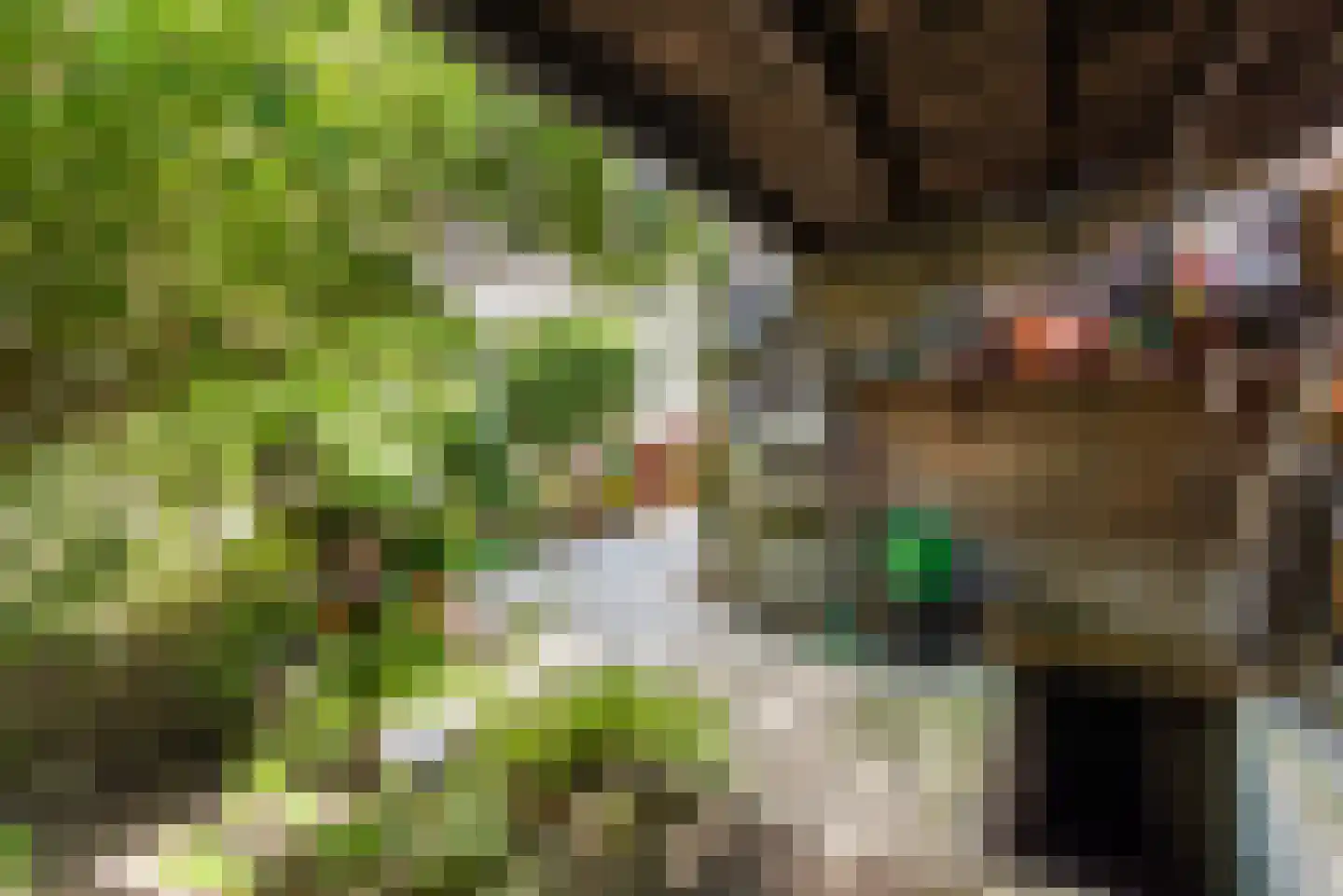 2e Weerdsweg 21 Deventer thumbnail 46