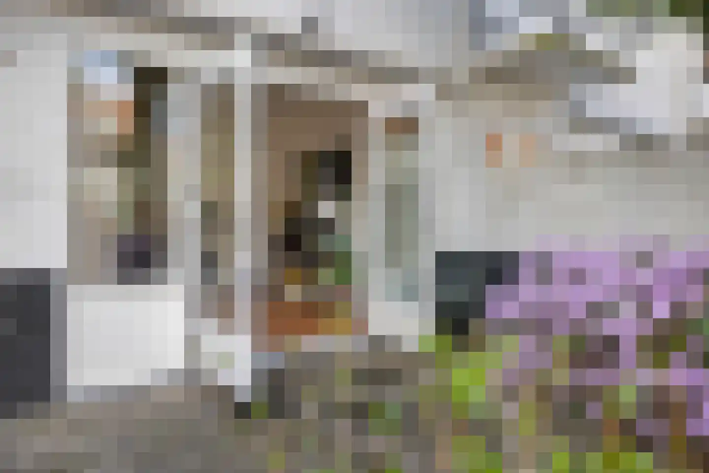 2e Wilakkersstraat 10 Eindhoven thumbnail 47
