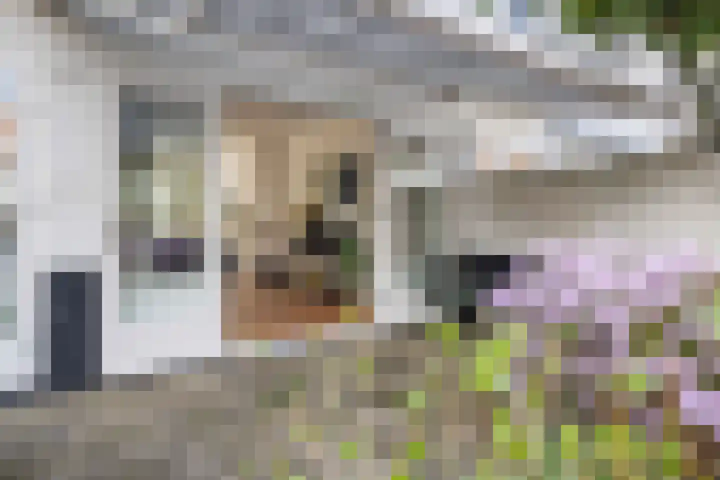 2e Wilakkersstraat 10 Eindhoven thumbnail 48