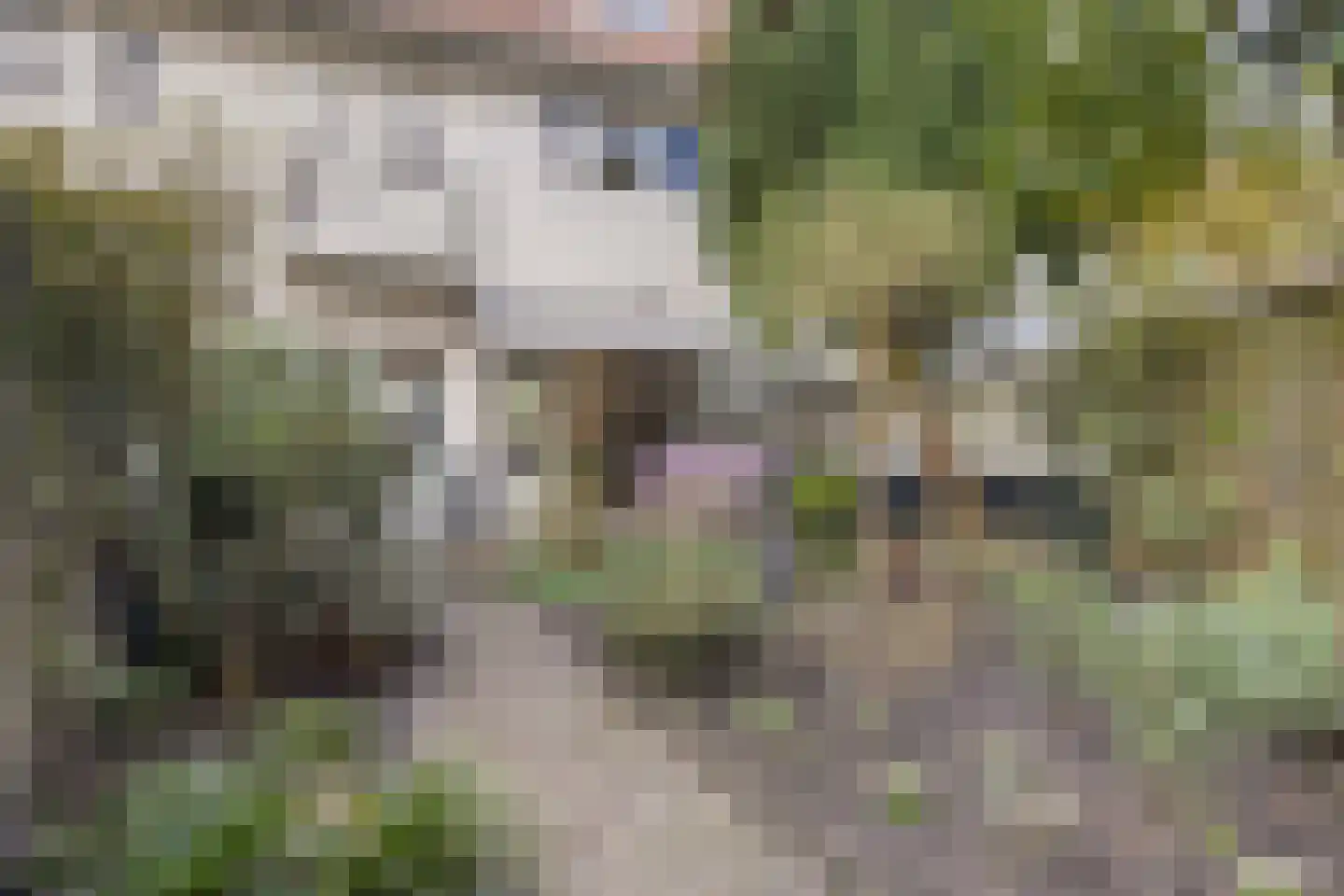 2e Wilakkersstraat 10 Eindhoven thumbnail 49