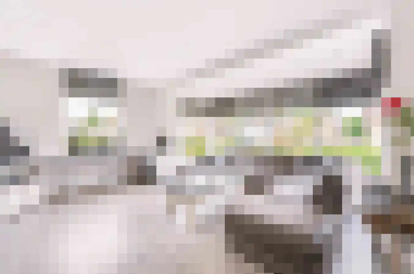 2e Wormenseweg 63 Apeldoorn thumbnail 8