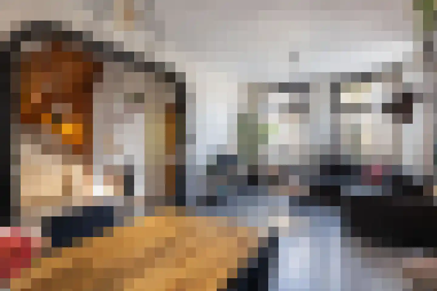 2e Woudstraat 22 Sneek thumbnail 23
