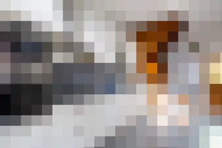 2e Woudstraat 22 Sneek thumbnail 26