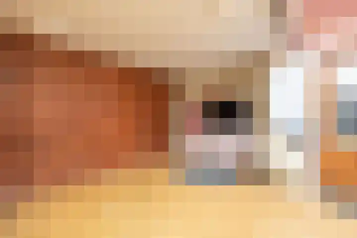 2e Woudstraat 22 Sneek thumbnail 47