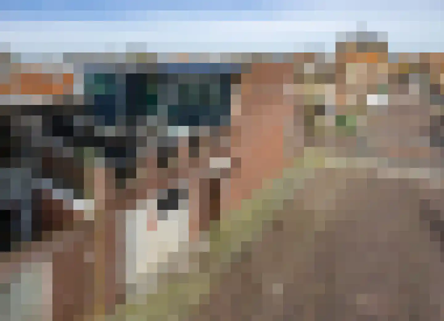 2e Woudstraat 22 Sneek thumbnail 5