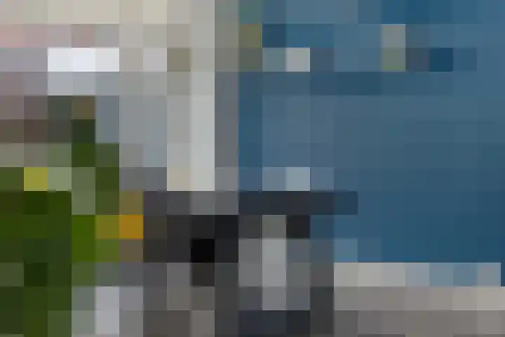 2e Woudstraat 36 Sneek thumbnail 12