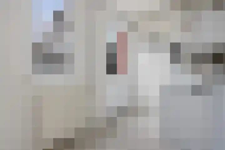 2e Woudstraat 36 Sneek thumbnail 21
