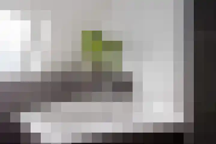 2e Woudstraat 36 Sneek thumbnail 27