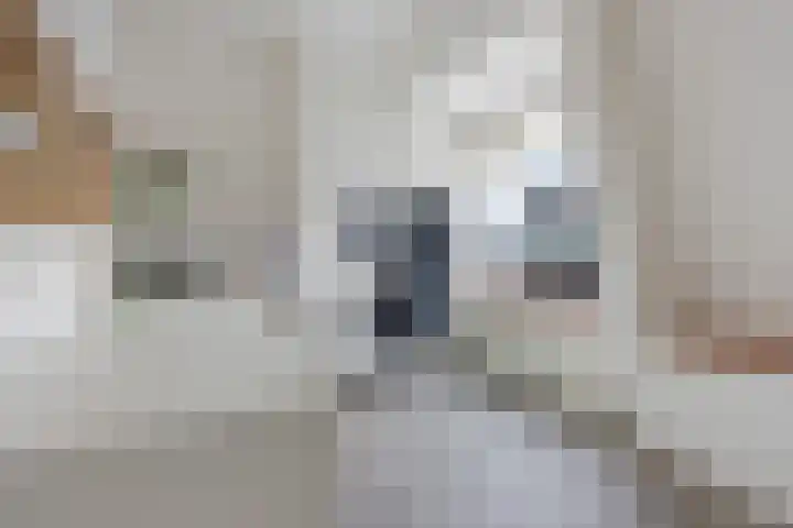 2e Woudstraat 36 Sneek thumbnail 35
