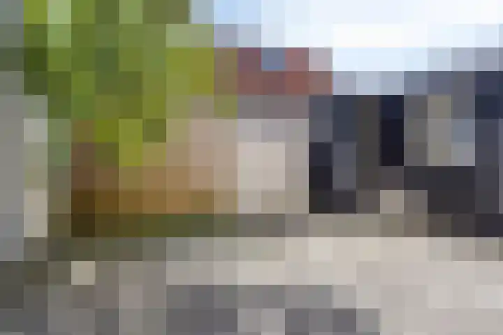 2e Woudstraat 48 Sneek thumbnail 5