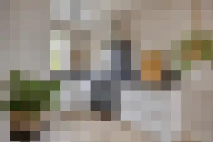 Photo d'équipe de 365Makelaardij