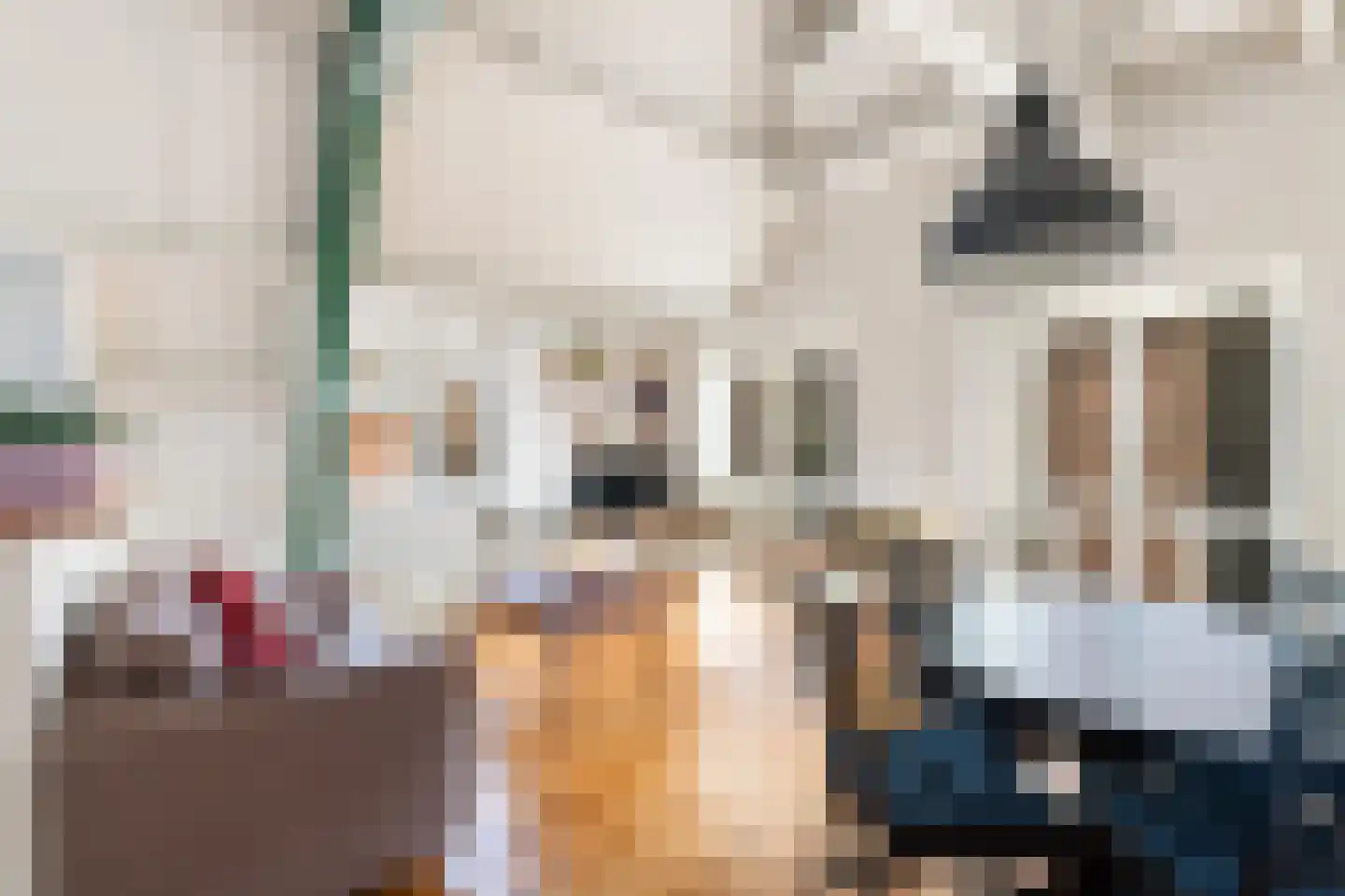 3e Buurkerksteeg 24 Utrecht thumbnail 10