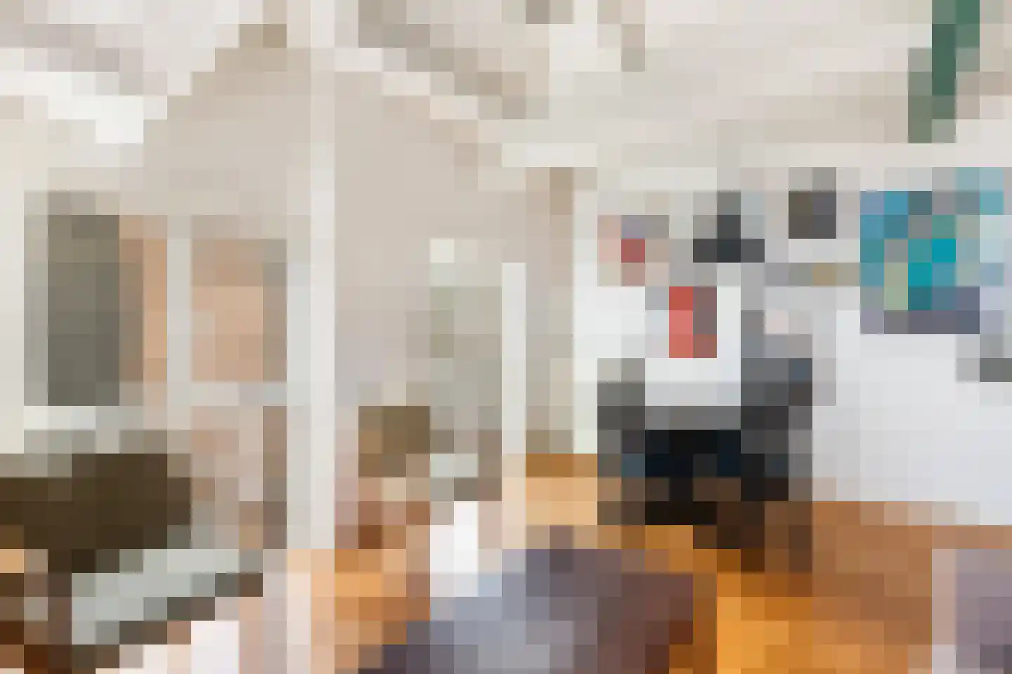 3e Buurkerksteeg 24 Utrecht thumbnail 11