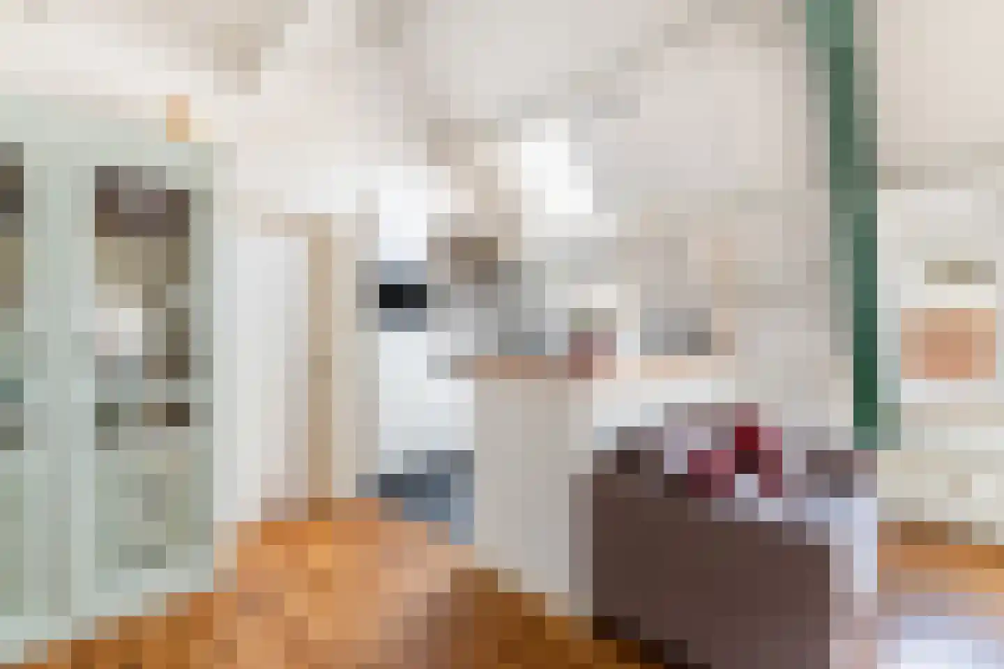 3e Buurkerksteeg 24 Utrecht thumbnail 12