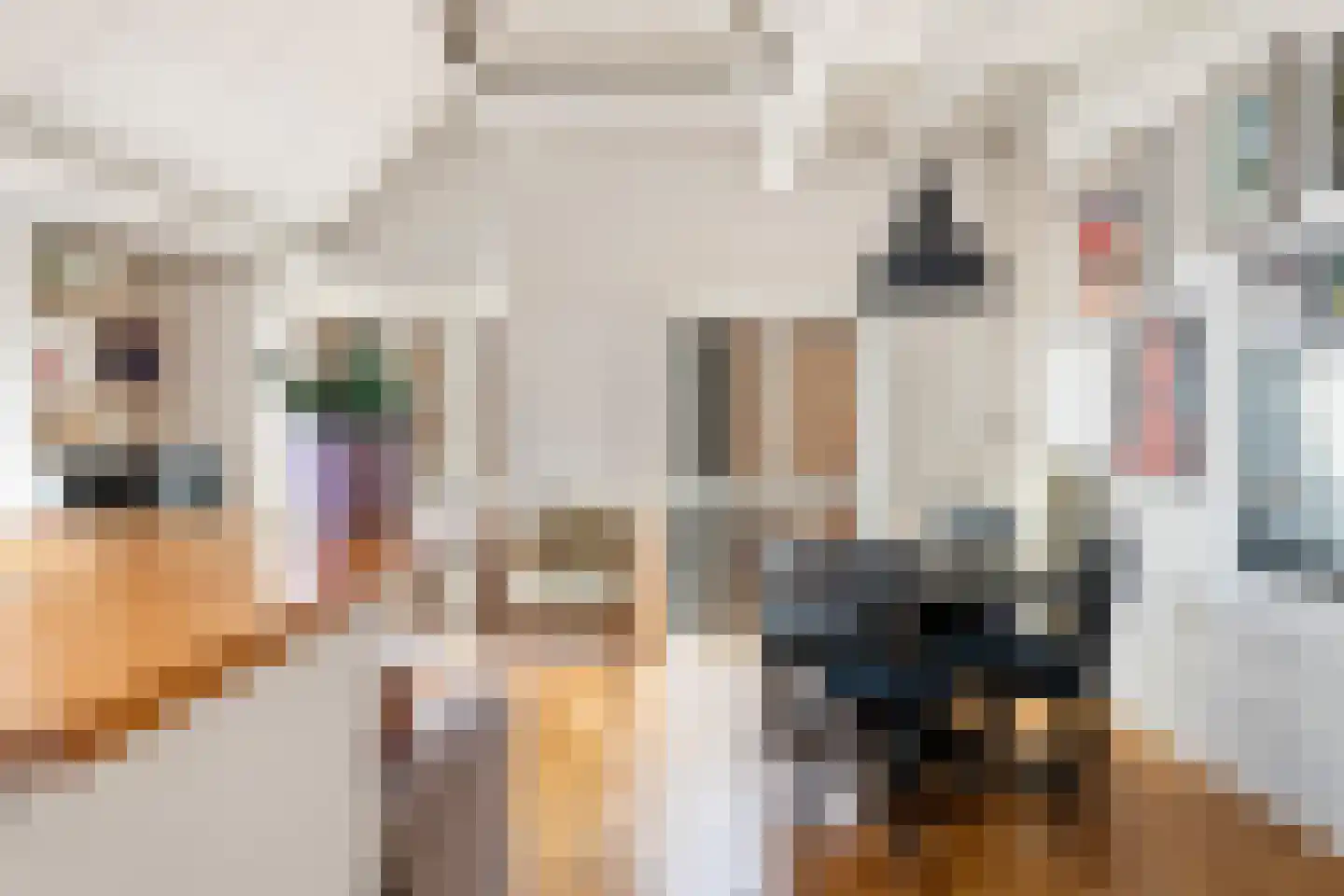 3e Buurkerksteeg 24 Utrecht thumbnail 16