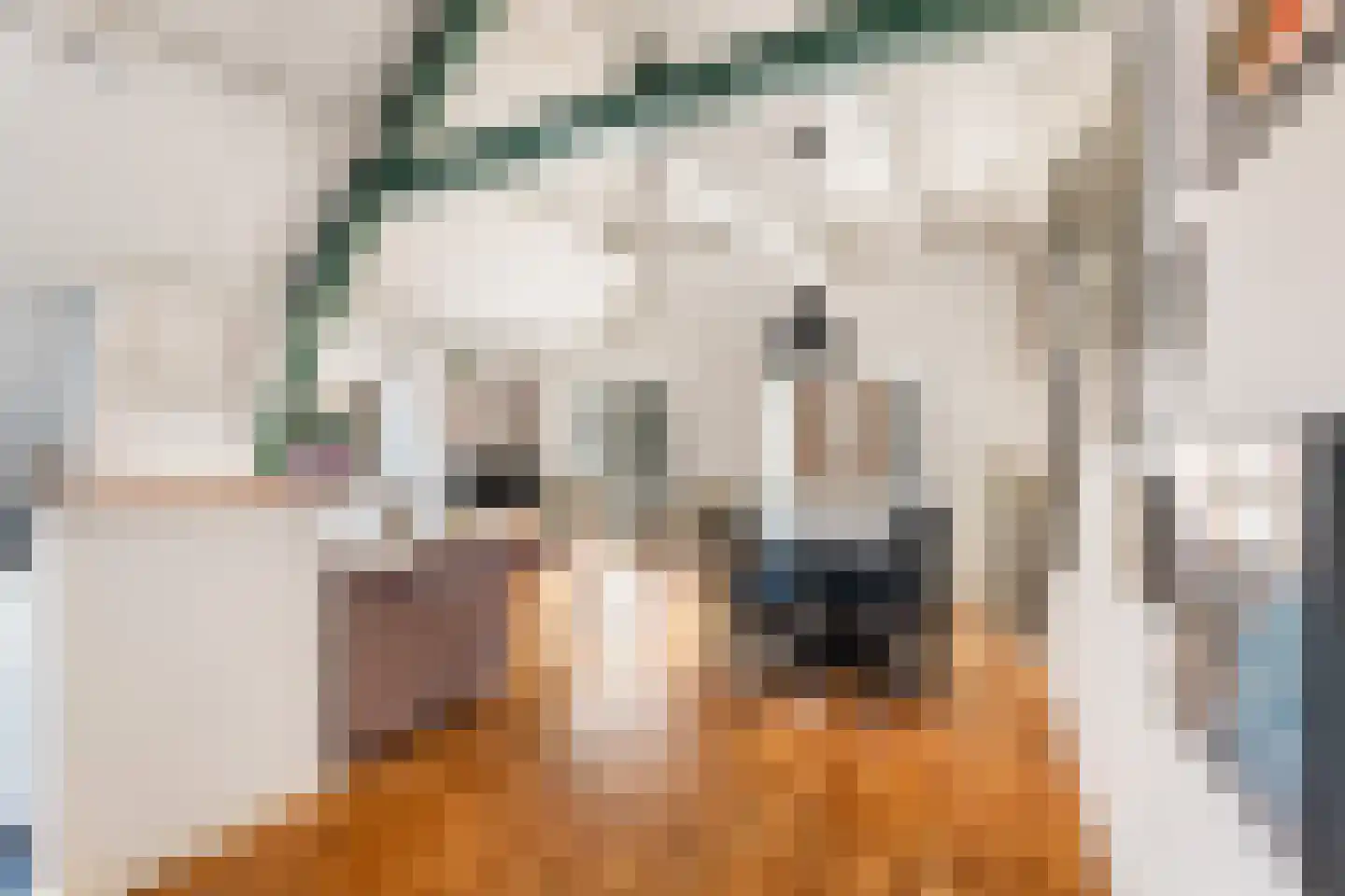 3e Buurkerksteeg 24 Utrecht thumbnail 17