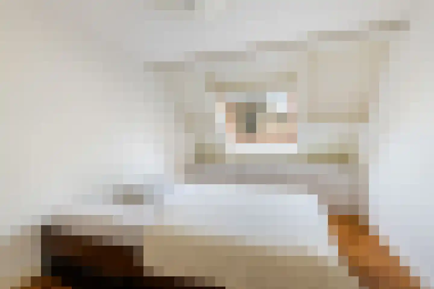 3e Buurkerksteeg 24 Utrecht thumbnail 22