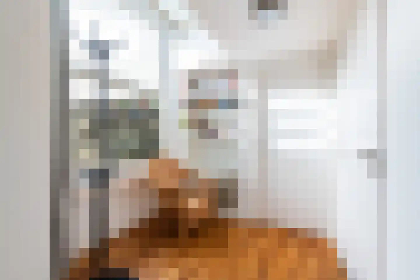 3e Buurkerksteeg 24 Utrecht thumbnail 24
