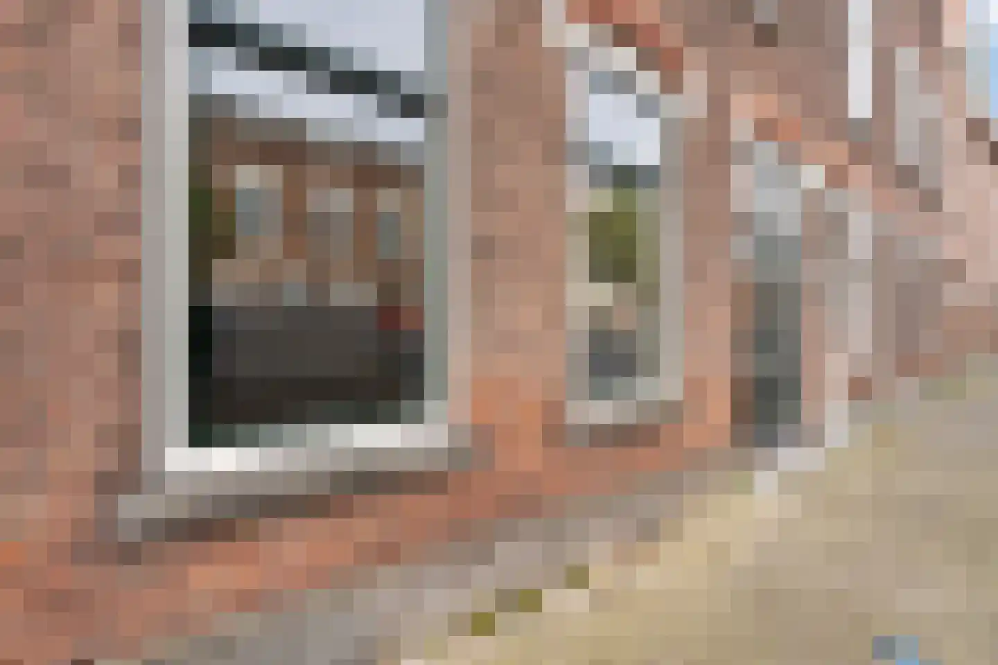 3e Carnissestraat 32 Rotterdam thumbnail 23