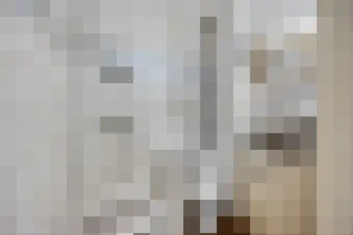 3e Carnissestraat 46 C Rotterdam thumbnail 9