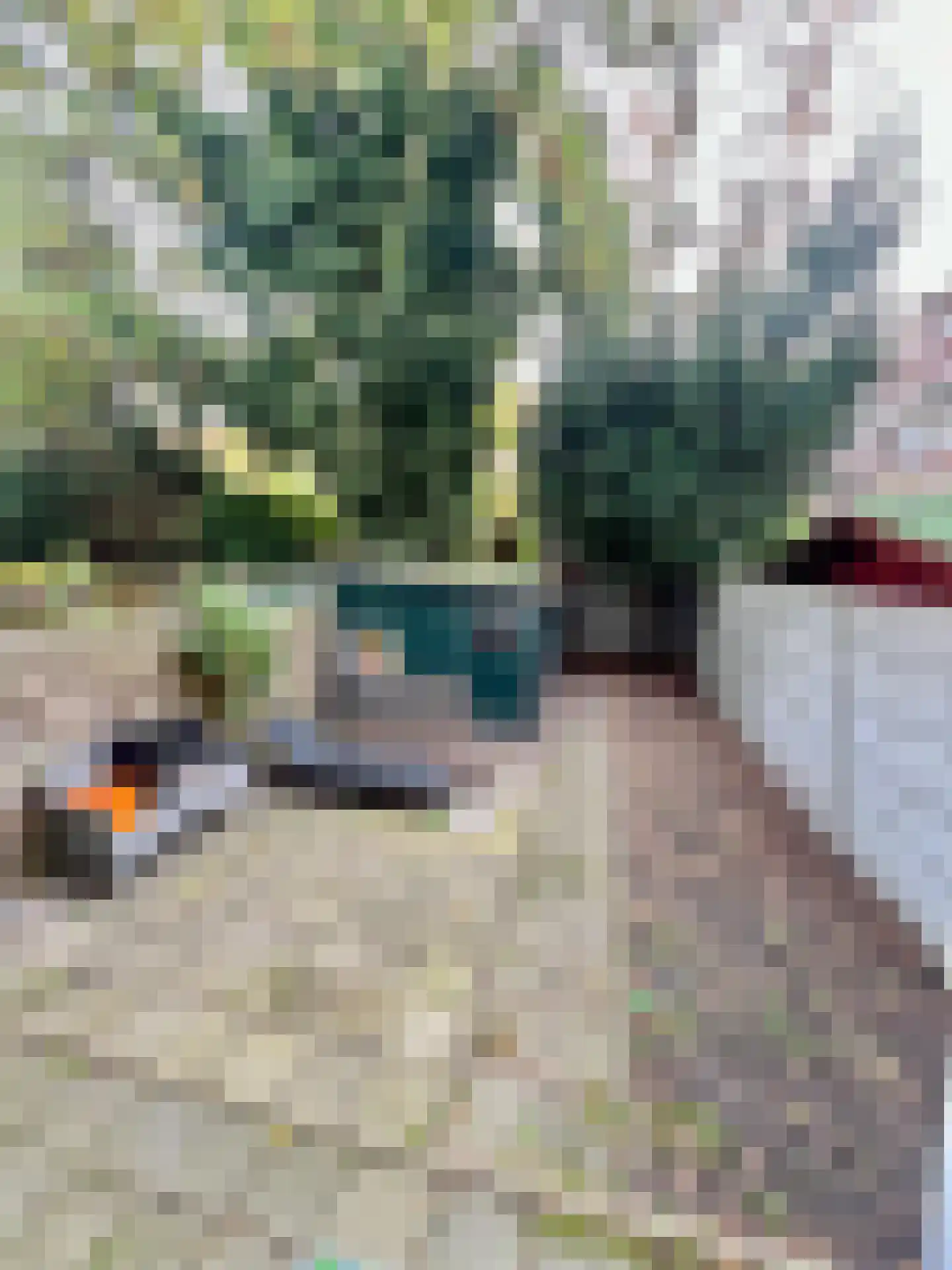 3e Carnissestraat 48 B Rotterdam thumbnail 11