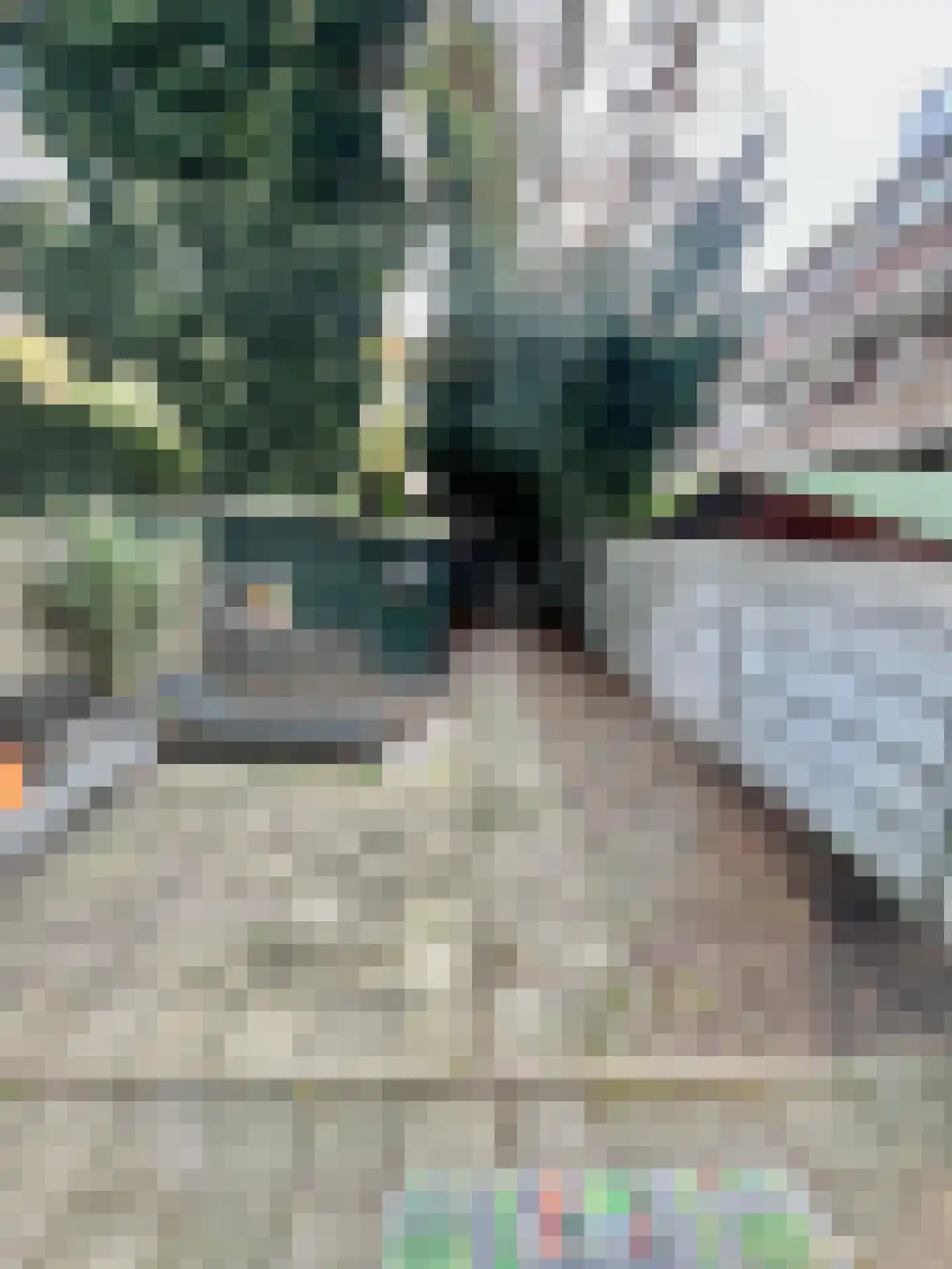 3e Carnissestraat 48 B Rotterdam thumbnail 12