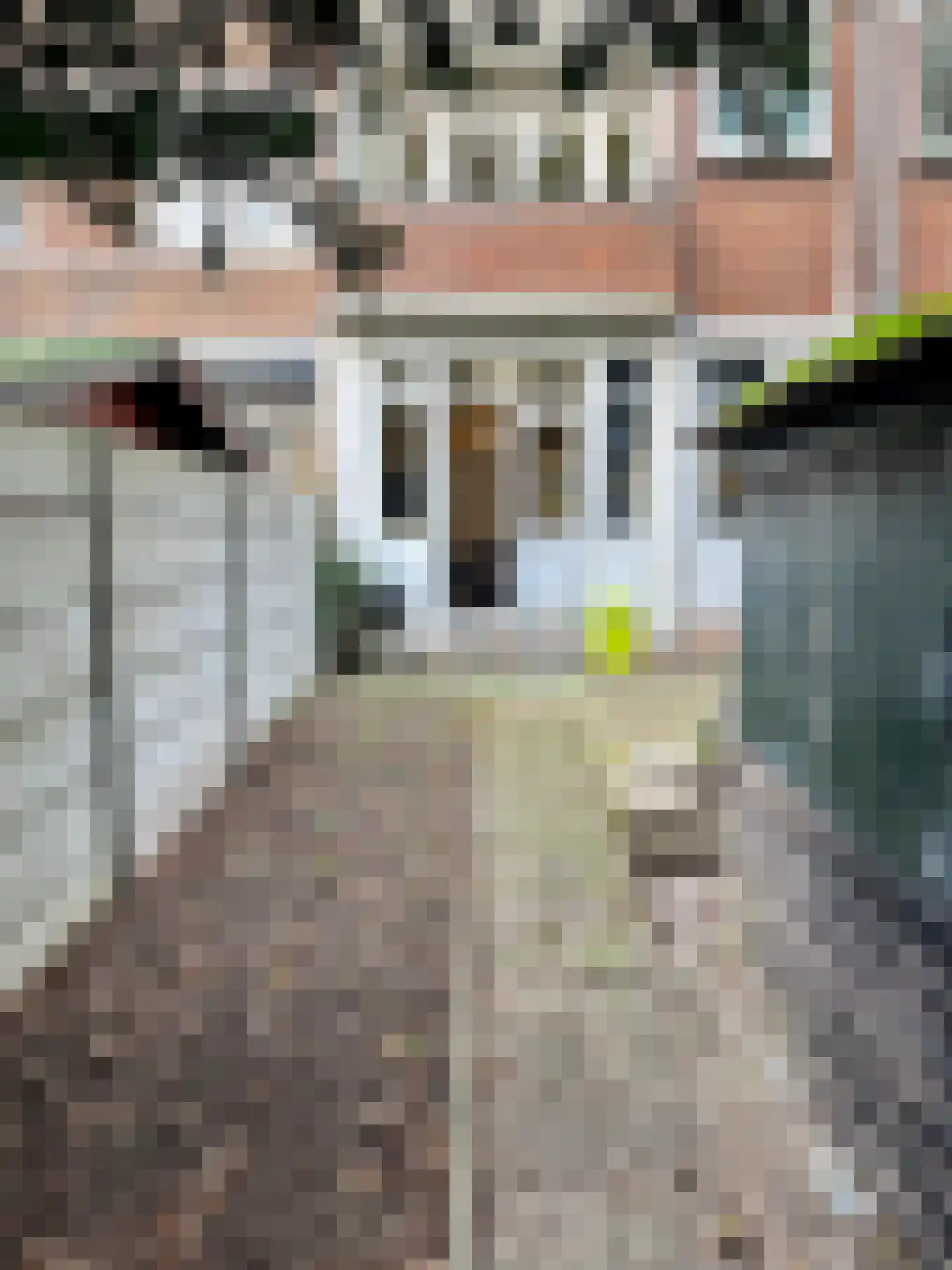 3e Carnissestraat 48 B Rotterdam thumbnail 13
