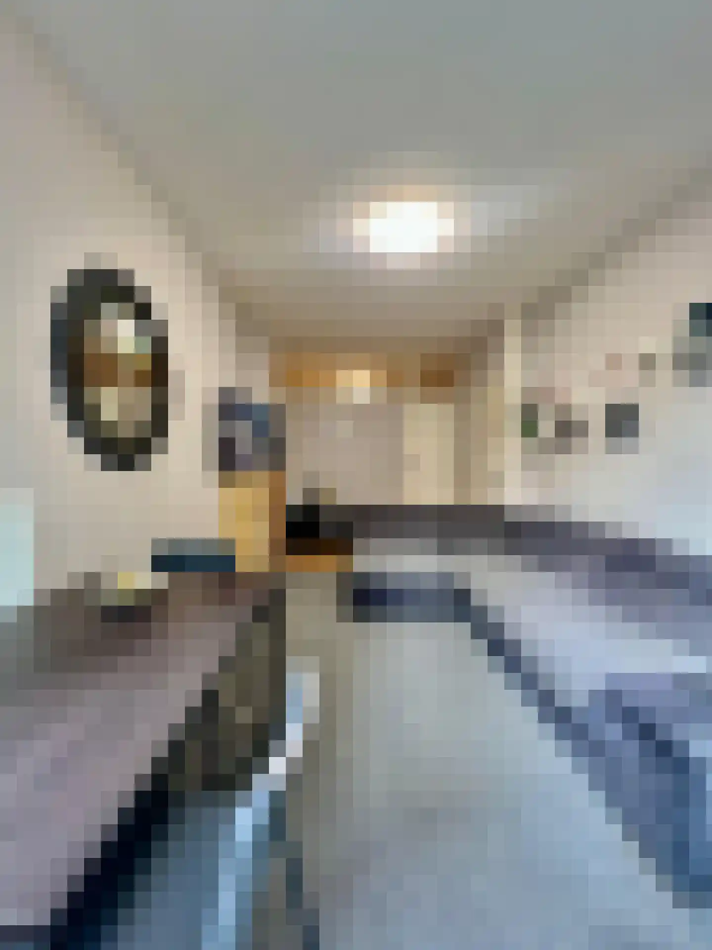 3e Carnissestraat 48 B Rotterdam thumbnail 5