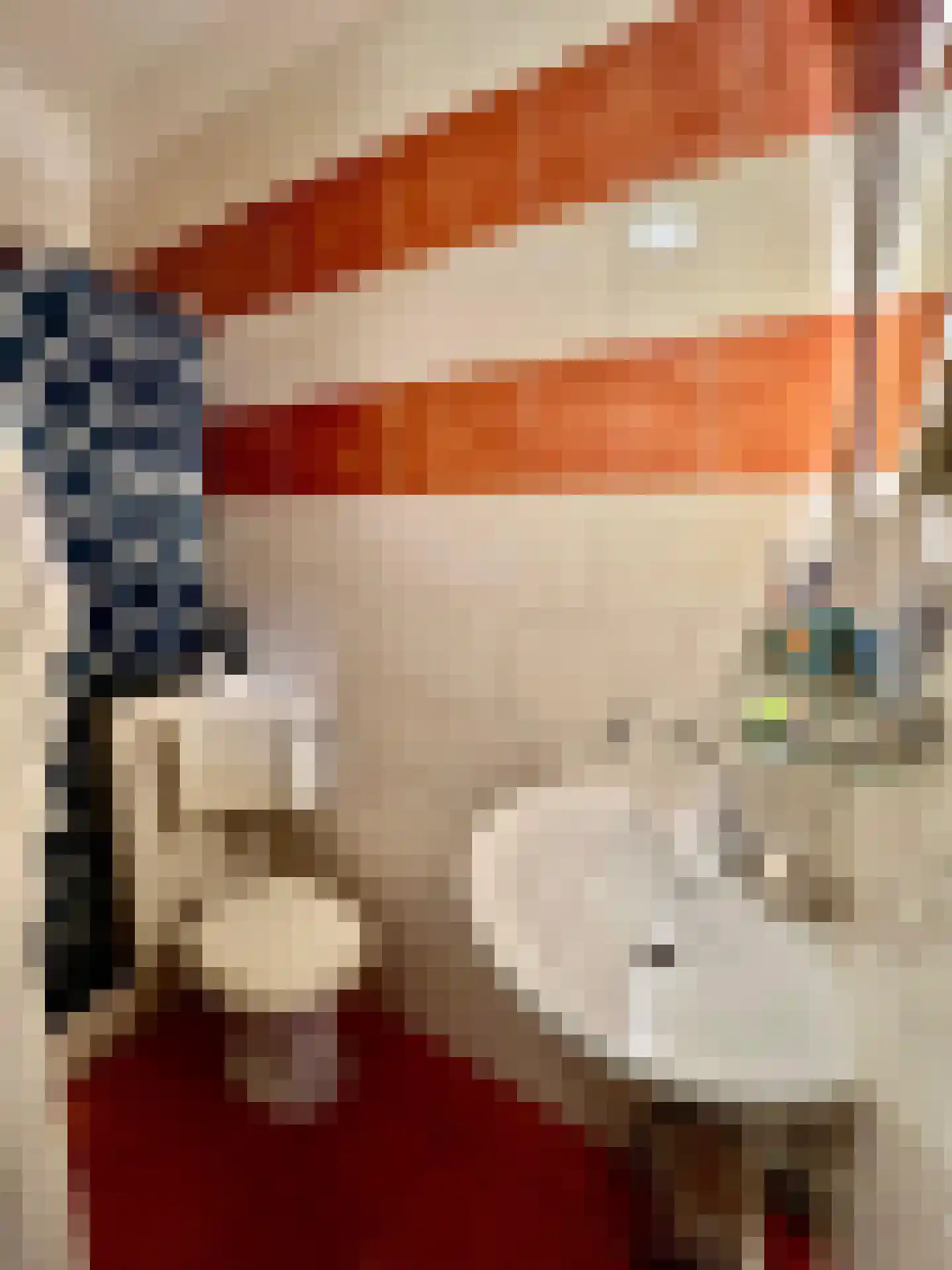 3e Carnissestraat 48 B Rotterdam thumbnail 6