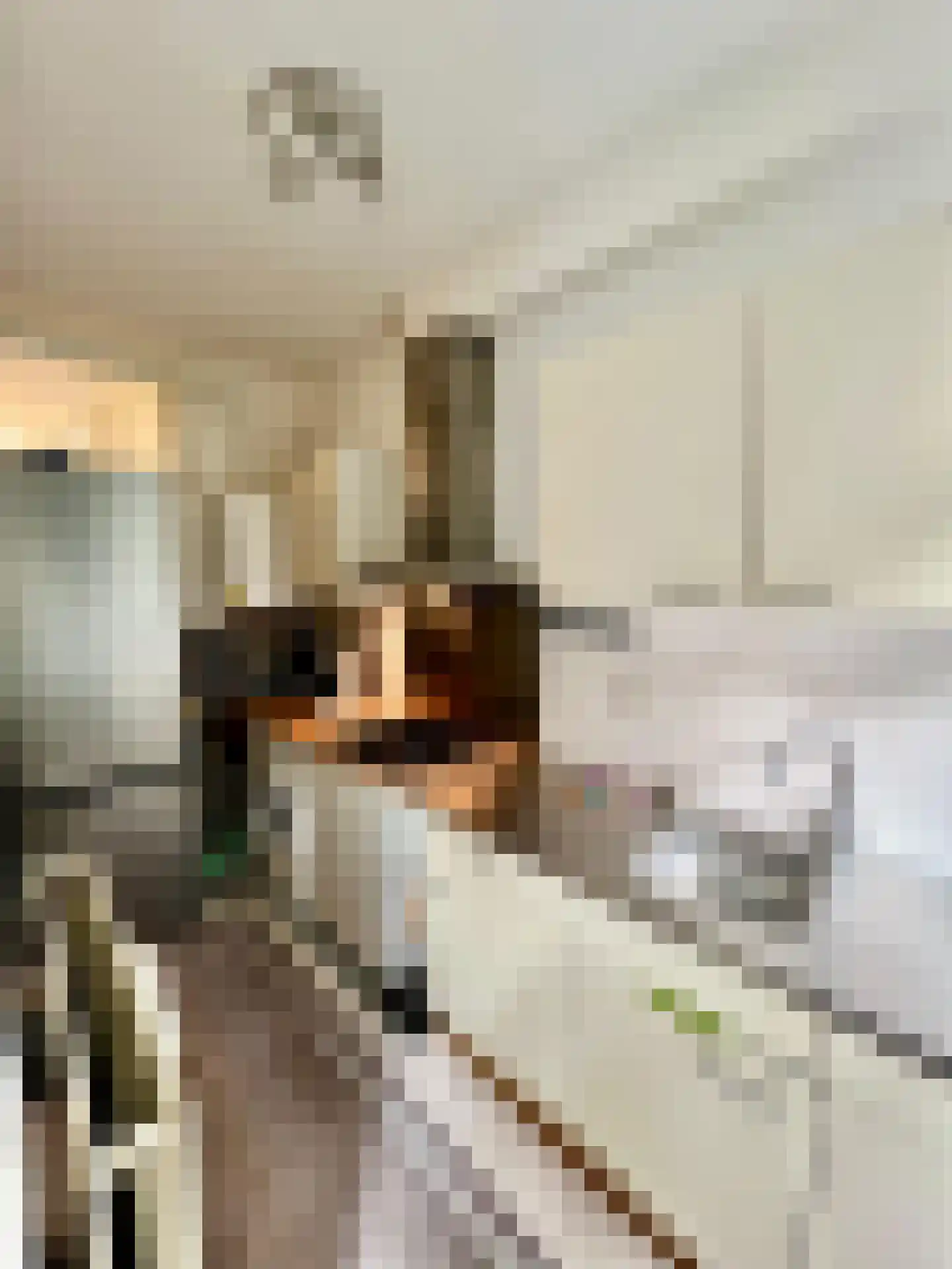3e Carnissestraat 48 B Rotterdam thumbnail 8