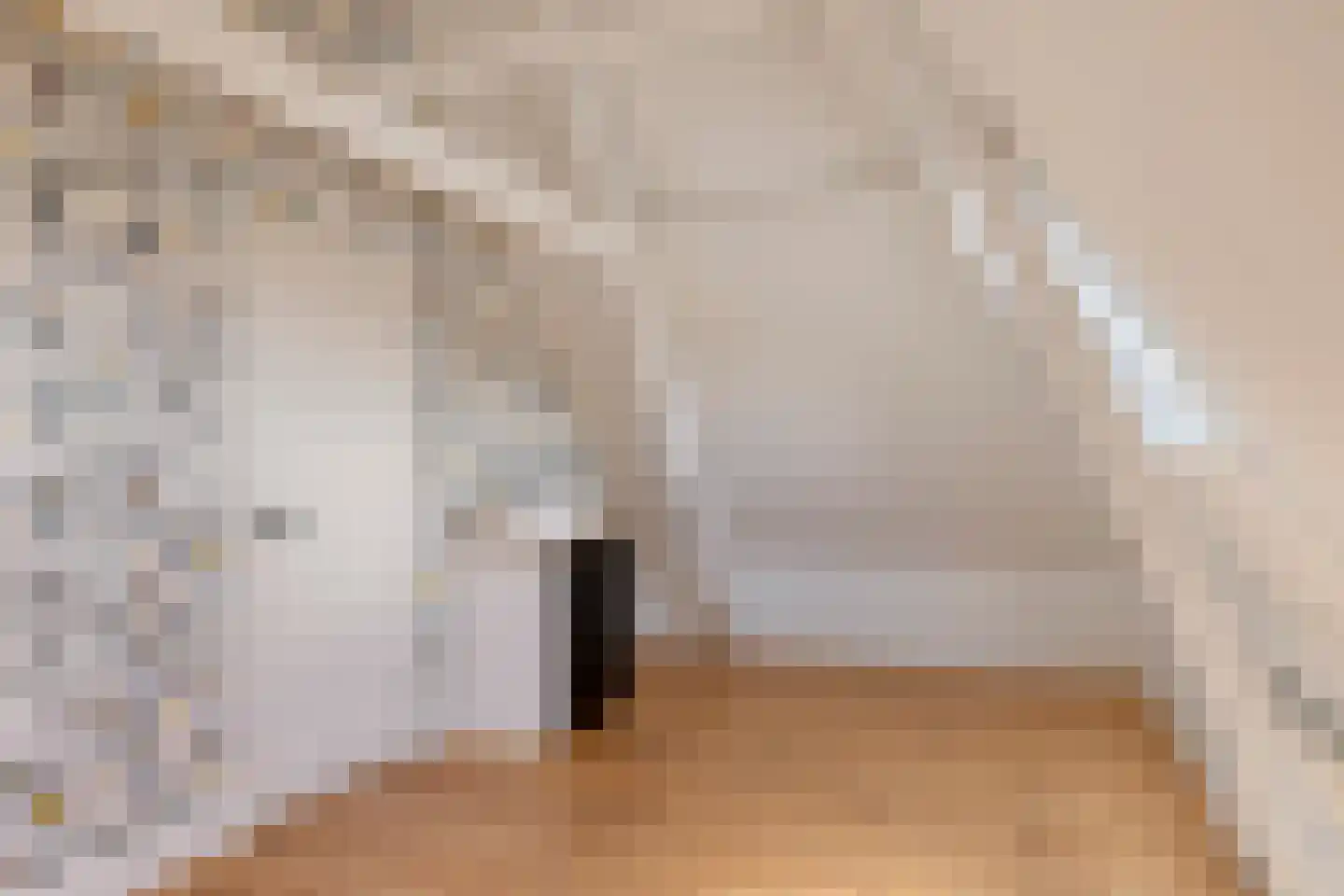 3e Ebbingestraat 26 Kampen thumbnail 34