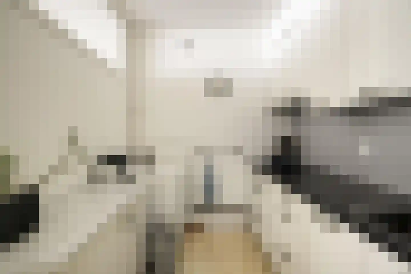 3e Ebbingestraat 7 Kampen thumbnail 18