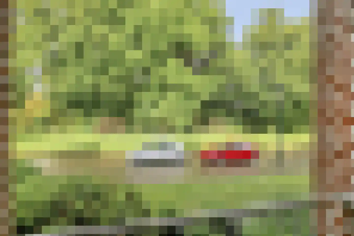 3e Ebbingestraat 7 Kampen thumbnail 21