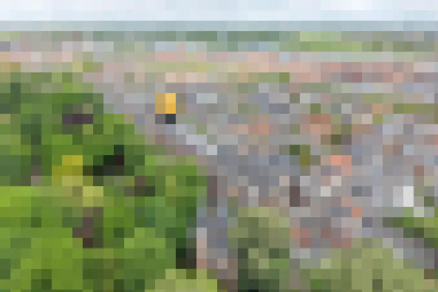 3e Ebbingestraat 7 Kampen thumbnail 35