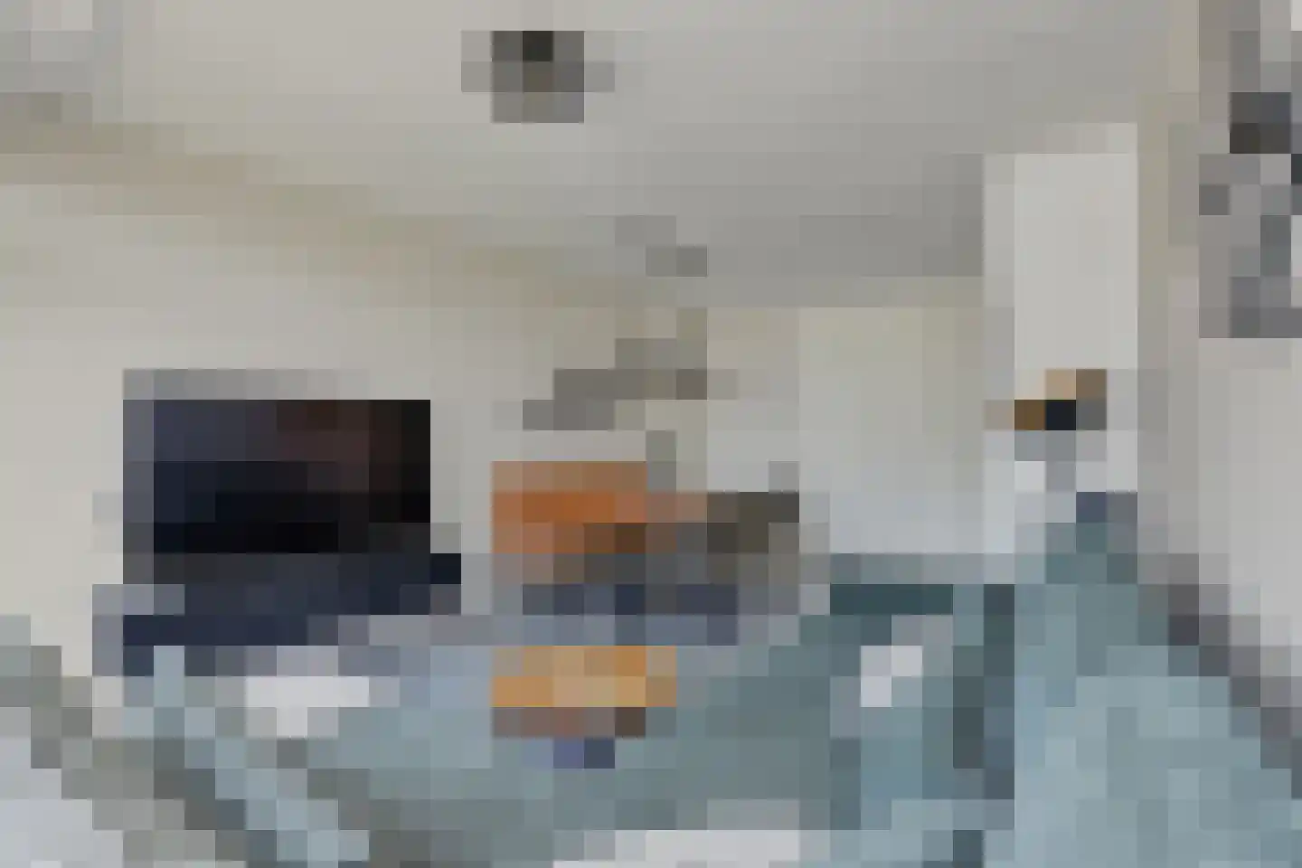 3e Eeldepad 36 Den Haag thumbnail 5