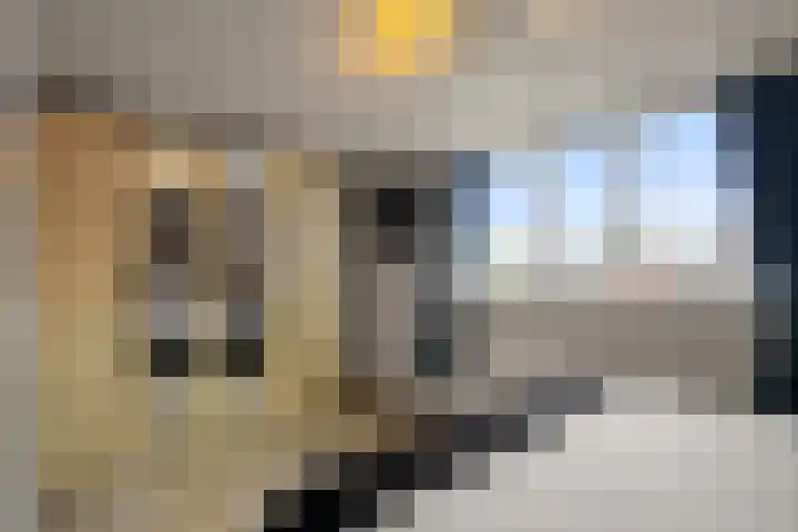 3e Emmadwarsstraat 4 Den Helder thumbnail 18